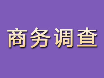 塔河商务调查